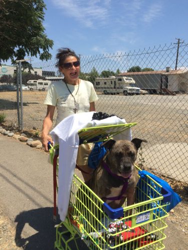 An image of a homeless woman and dog in Cart